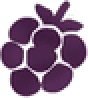 Berries icon