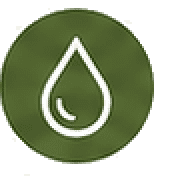 Blood sugar icon