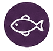 Fish icon
