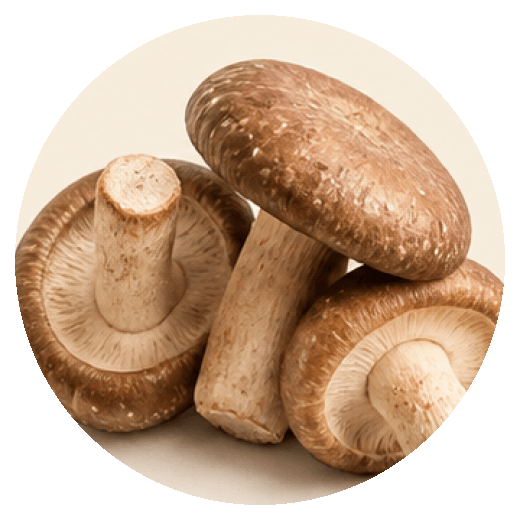 Shiitake mushrooms