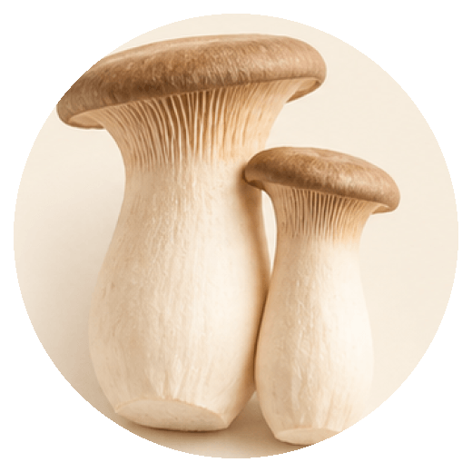 King trumpet mushrooms
